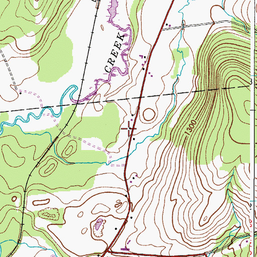 Topographic Map of Peet Hook Pastures, NY