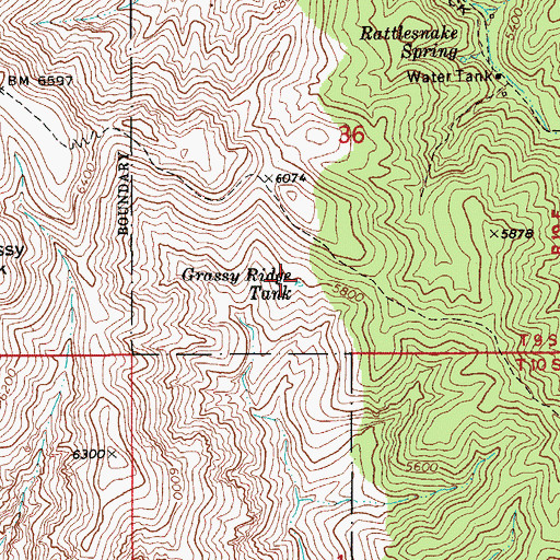 Topographic Map of Grassy Ridge Tank, AZ