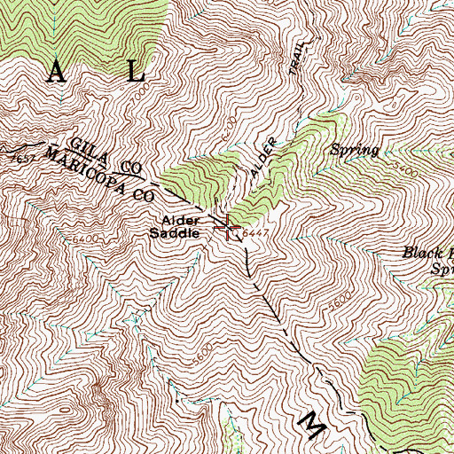 Topographic Map of Alder Saddle, AZ