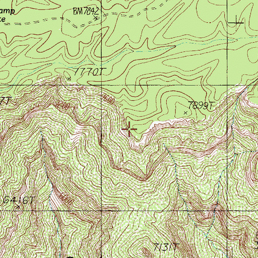 Topographic Map of Beaman Point, AZ