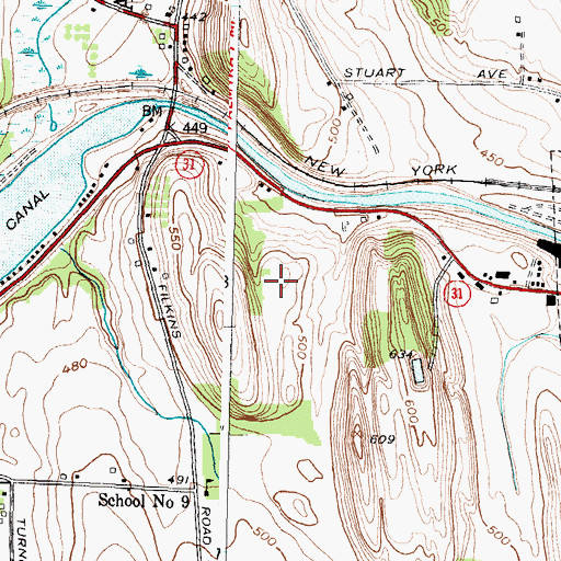 Topographic Map of Rose City Drive-In (historical), NY