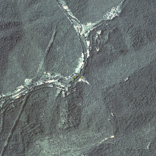 Aerial/Satellite Image of Woolum Branch, KY