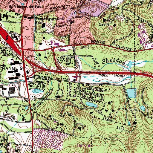 Topographic Map of Lagana Field, NY