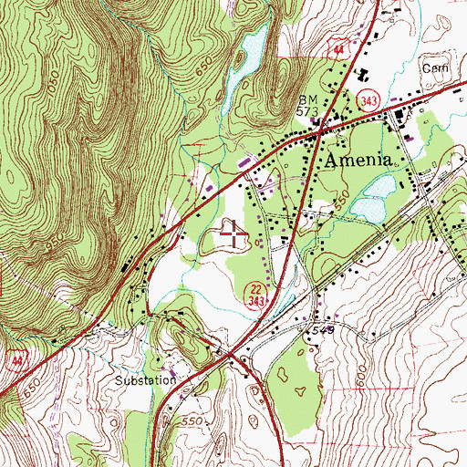 Topographic Map of Amenia Drive-In (historical), NY