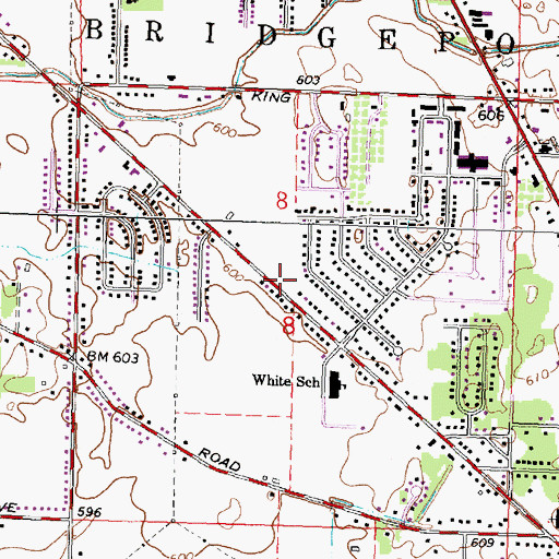 Topographic Map of Bridgeport Public Library, MI
