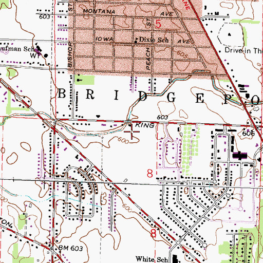 Topographic Map of Bridgeport Baptist Academy, MI