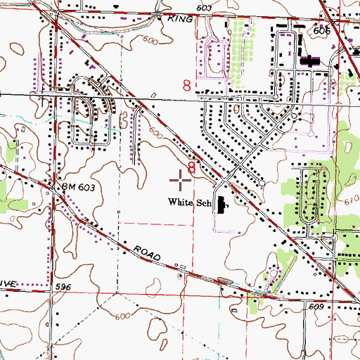 Topographic Map of Martin G. Atkins Elementary School, MI