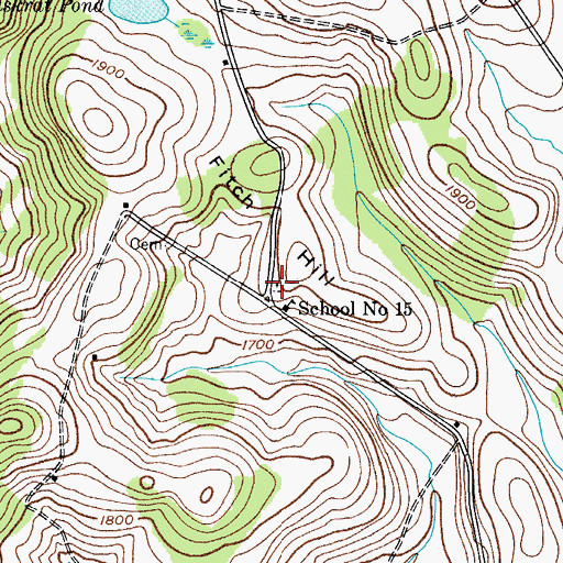 Topographic Map of Fitch Hill Cemetery, NY