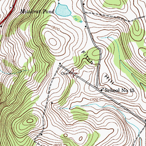 Topographic Map of Pierce Cemetery, NY