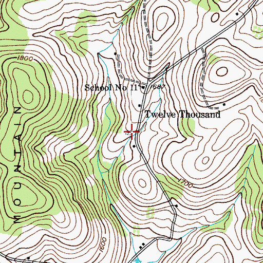 Topographic Map of Twelve Thousand Cemetery, NY