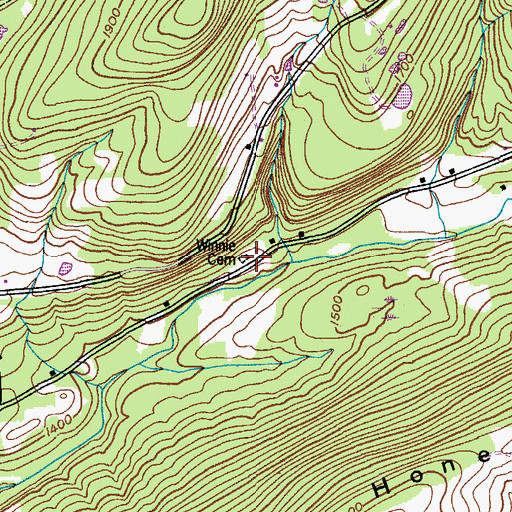 Topographic Map of Winnie Cemetery, NY
