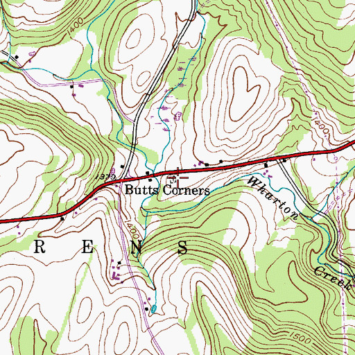Topographic Map of Butts Cemetery, NY