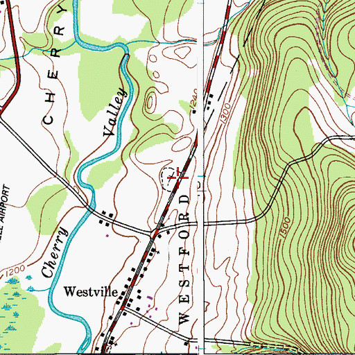 Topographic Map of Westville Cemetery, NY