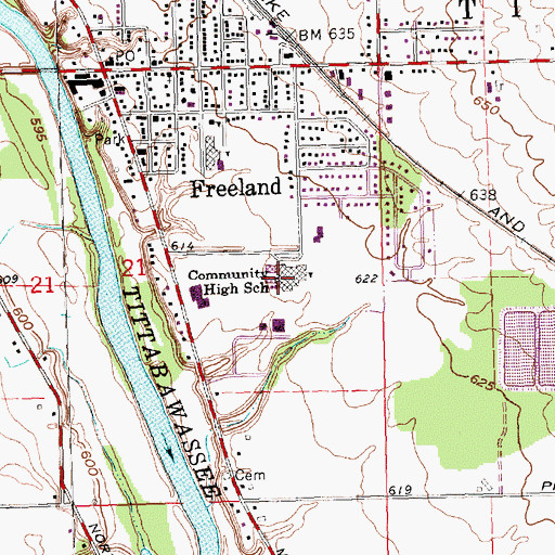 Topographic Map of Freeland Elementary School, MI