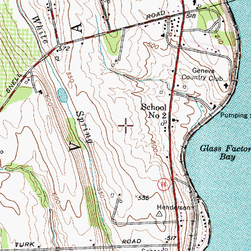 Topographic Map of White Springs Winery, NY