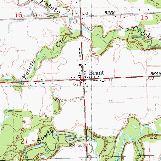 Topographic Map of Brant Township Hall, MI