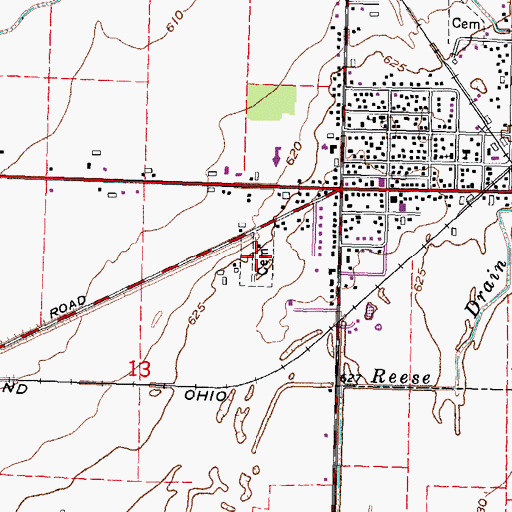 Topographic Map of Trinity Lutheran Cemetery, MI