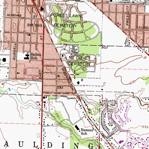 Topographic Map of Hebrew Cemetery, MI