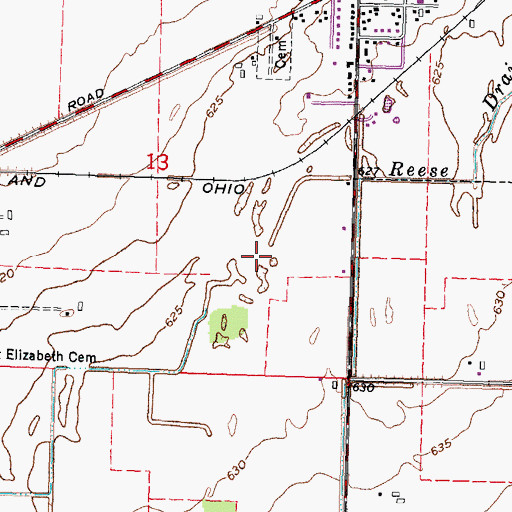 Topographic Map of Country Club of Reese, MI