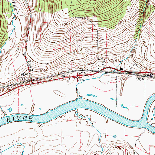 Topographic Map of Reed Guy Cemetery, NY