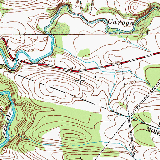 Topographic Map of Canary Dairy, NY
