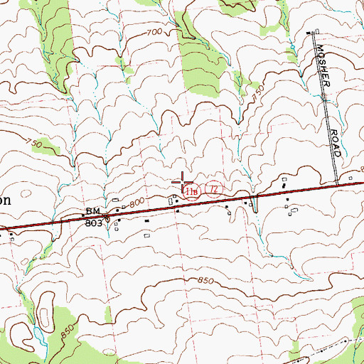 Topographic Map of Birchland Farm, NY