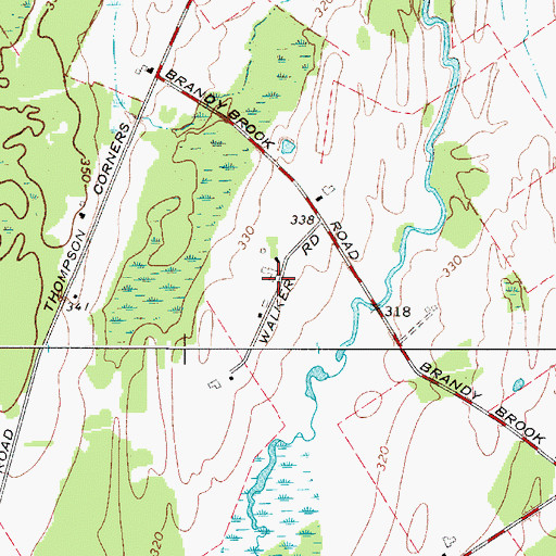 Topographic Map of Brandy View Farms, NY