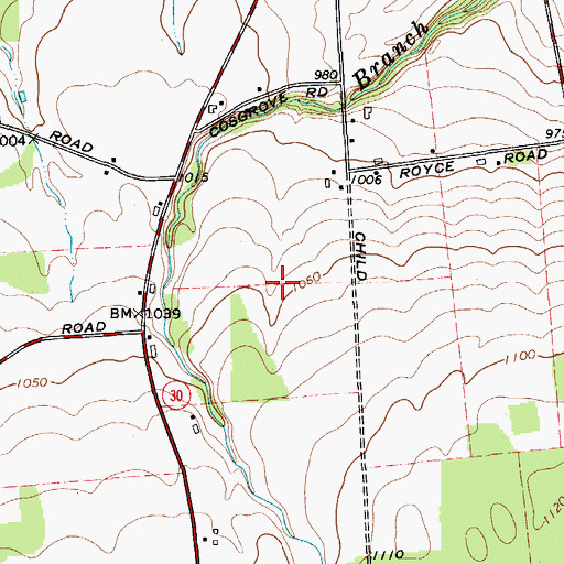 Topographic Map of Childstock Farms, NY