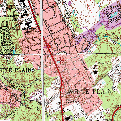 Topographic Map of Willow Lake, NY