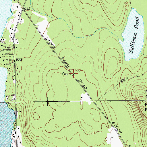 Topographic Map of Dillingham Cemetery, NY