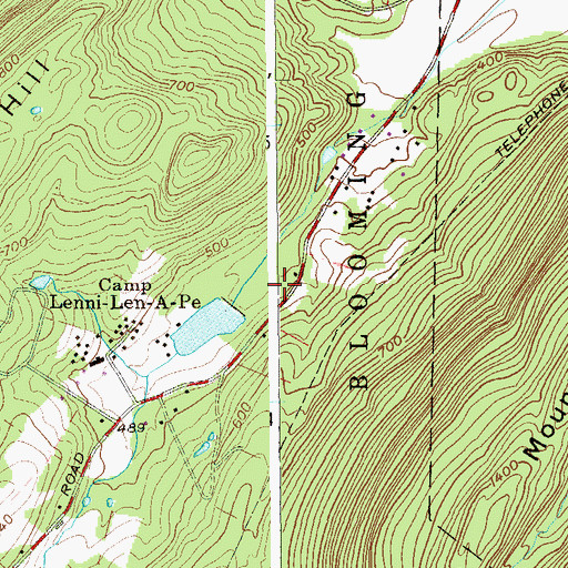 Topographic Map of Swissette Herb Farm, NY