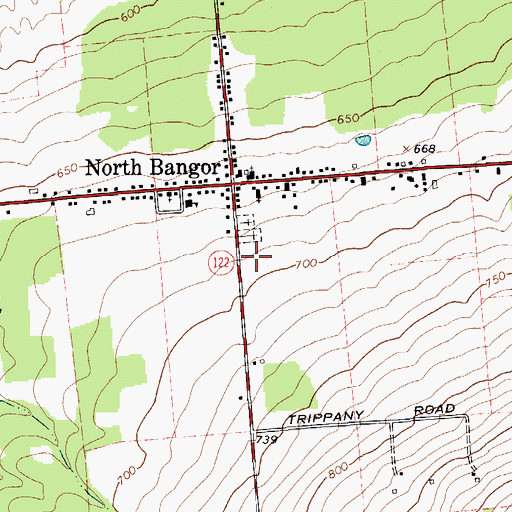 Topographic Map of Saint Augustine Cemetery, NY