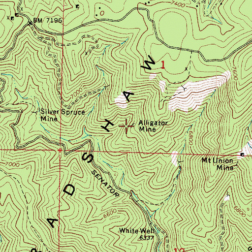 Topographic Map of Alligator Mine, AZ