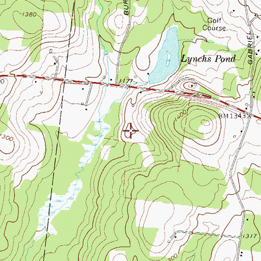 Topographic Map of Lillies Pond, NY