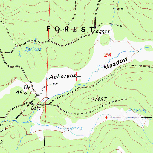 Topographic Map of Ackerson Meadow, CA