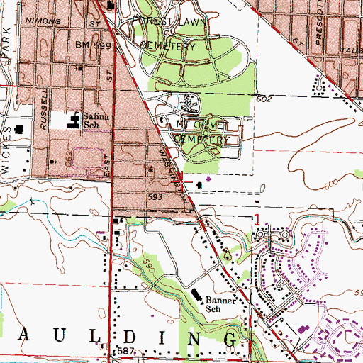 Topographic Map of Saint Anthony Church, MI