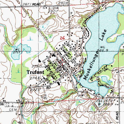 Topographic Map of Trufant Community Fire Department, MI