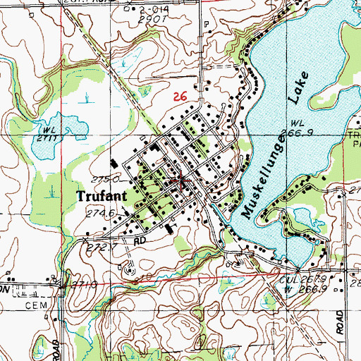 Topographic Map of Trufant Post Office, MI