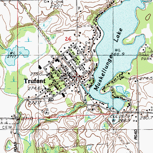 Topographic Map of Trufant Station (historical), MI