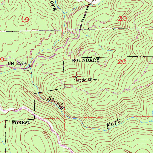 Topographic Map of Arctic Mine, CA