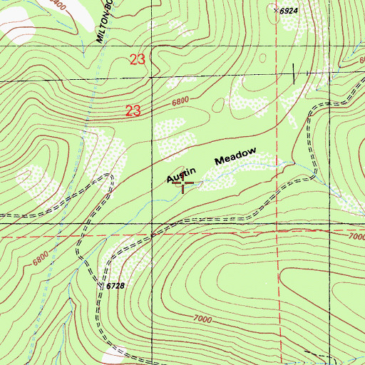 Topographic Map of Austin Meadow, CA