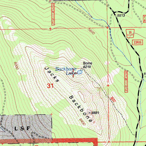 Topographic Map of Backbone Lake, CA
