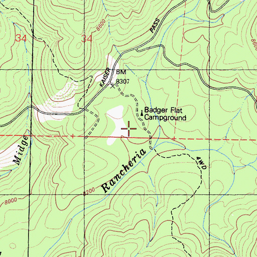 Topographic Map of Badger Flat, CA