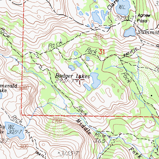 Topographic Map of Badger Lakes, CA