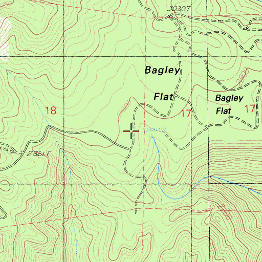 Topographic Map of Bagley Flat, CA