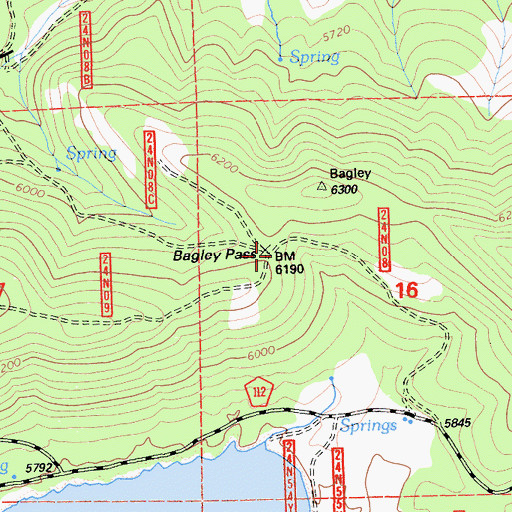 Topographic Map of Bagley Pass, CA