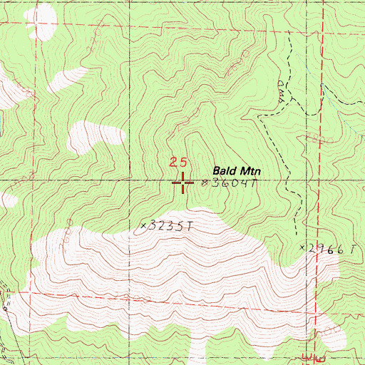 Topographic Map of Bald Mountain, CA
