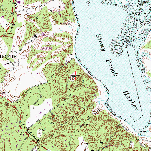 Topographic Map of Woodcrest, NY