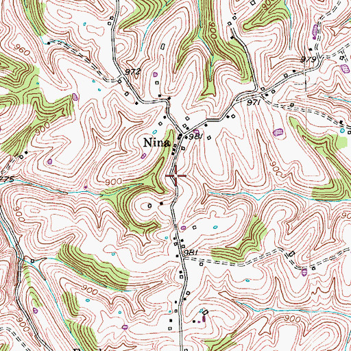 Topographic Map of Nina Ridge, KY