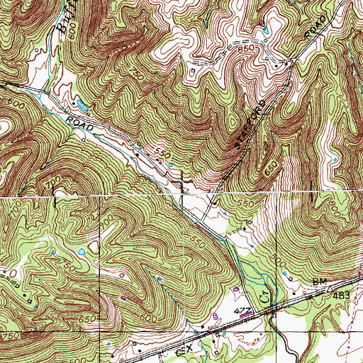Topographic Map of Buffalo School (historical), KY